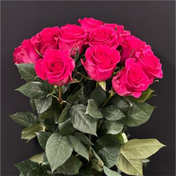 Роза Эквадор розовая 1 шт